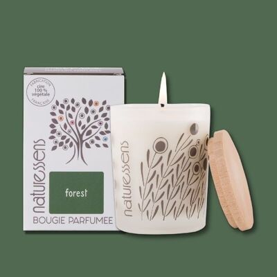 FOREST VEGETABLE WAX SCENTED CANDLE