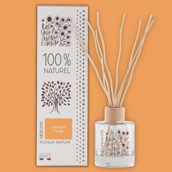 BOUQUET DIFFUSEUR PARFUME CANNELLE ORANGE 1