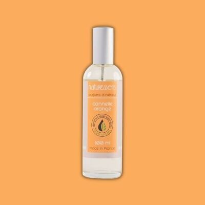 AMBIENTE SPRAY CANNELLA ARANCIO