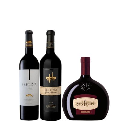 Confezione vino 100% argentino - 3 bottiglie