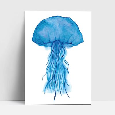 Postcard, jellyfish