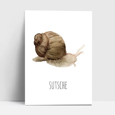 Carte postale, escargot "sutsche"