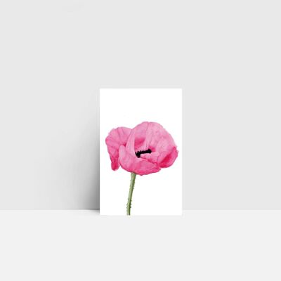 Mini carte, coquelicot