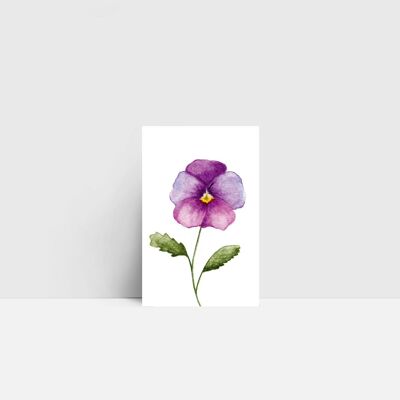 Mini card, Violetta Cornuta