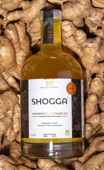 SHOGGA (700 ml) – Boisson au gingembre premium bio - SHOGGA®