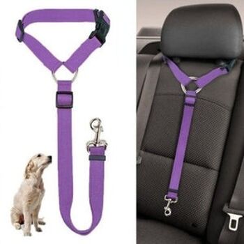 Car Seat Belt