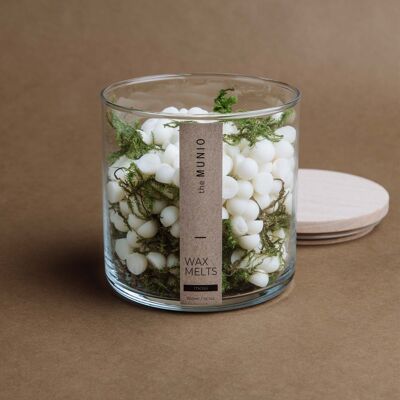 Moss soy wax melts in a glass votive