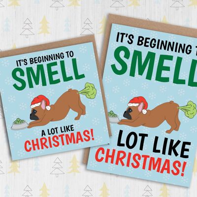 Lustige Frenchie-Weihnachtskarte: Es fängt an, sehr nach Weihnachten zu riechen