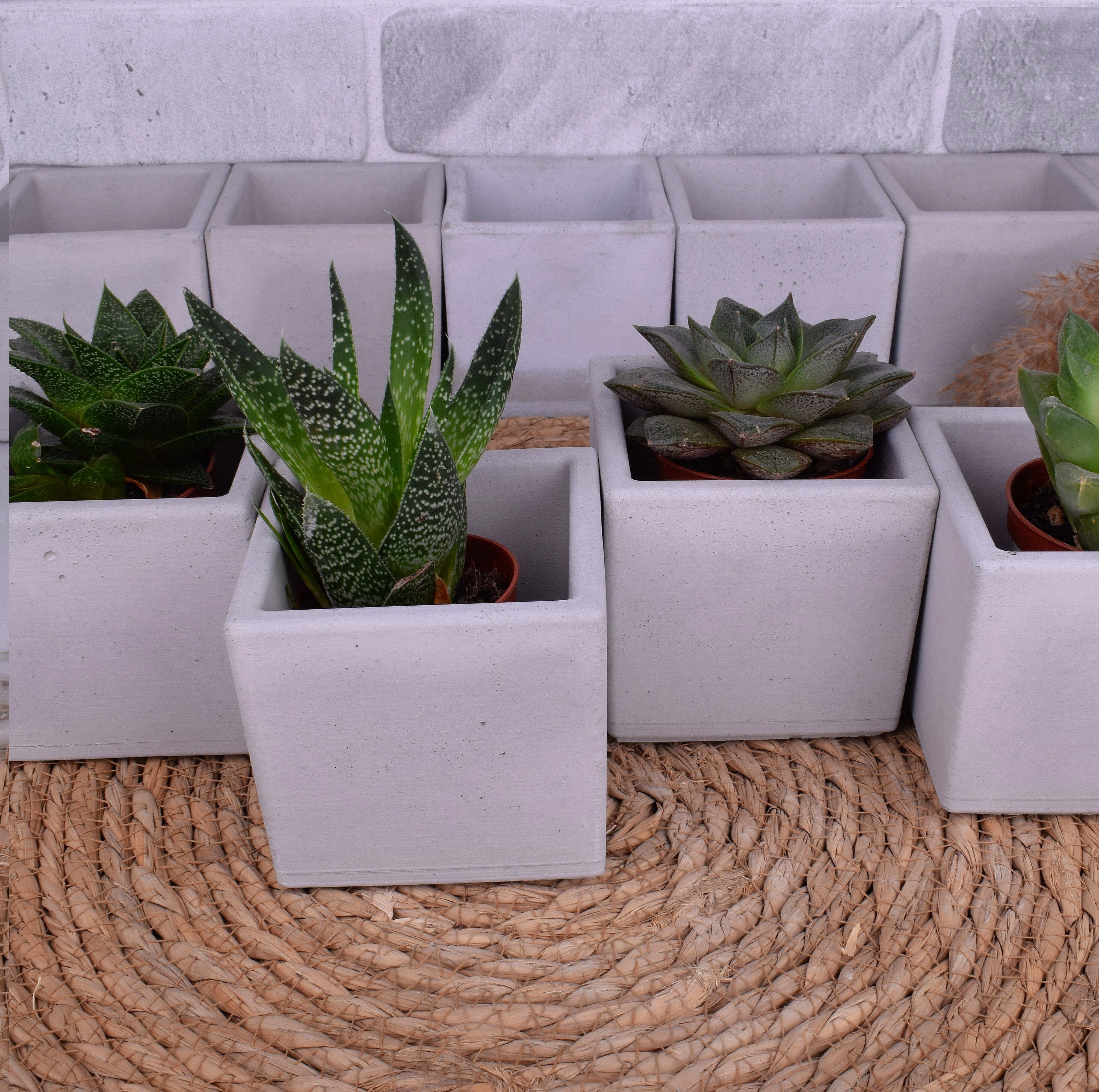 500 x Betonwürfel CUBE-9³ grau 9x9cm Kubus Dekoration Innenbereich