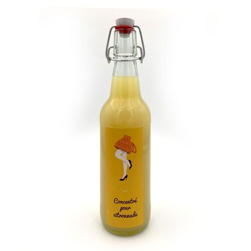 Concentré pour citronnade au gingembre (500 ml)