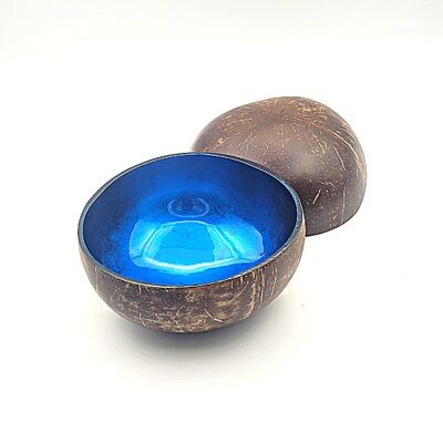 Blue Metallic Painted Coco Bowl