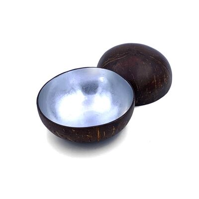 Silver Metallic Painted Coco Bowl