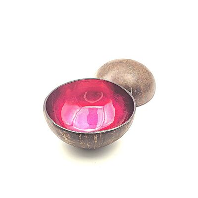Raspberry Metallic Painted Coco Bowl