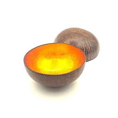 Orange Metallic Painted Coco Bowl
