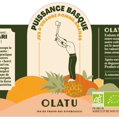 Basque Power - ORGANIC apple orange kiwi juice 25cl