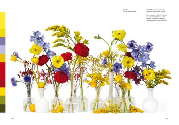 Fleurs : La théorie des couleurs 10