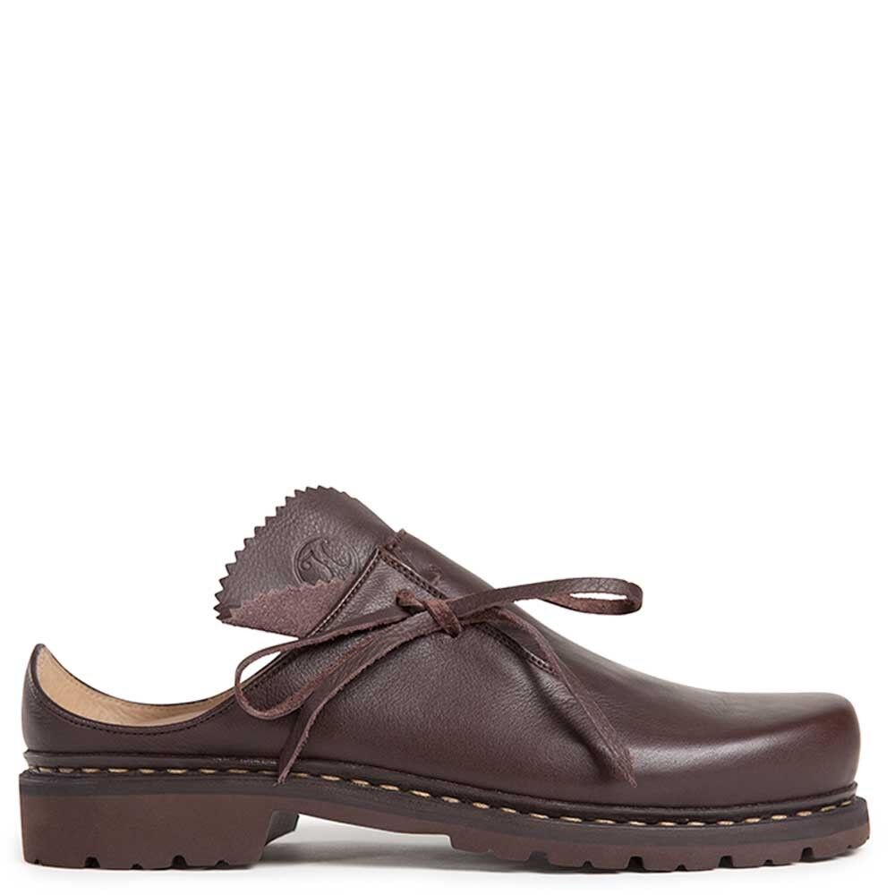 Alma marrone signore