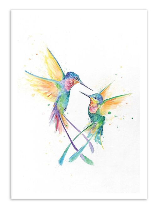 Art-Poster - Happy Humminbirds - Marc Allante-A3