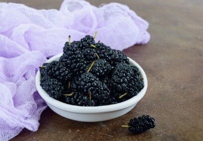 Gelsi neri essiccati biologici e del commercio equo e solidale dall'Uzbekistan - 1KG - HECOSFAIR