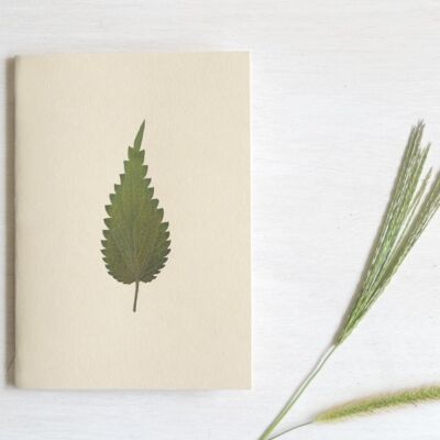 Herbarium notebook A6 • Garlic mustard (sheet)