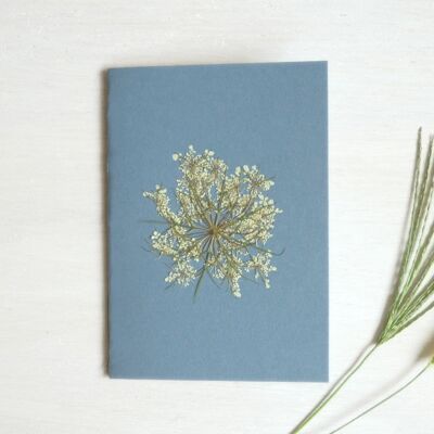A6 herbarium notebook • Carrot (flower)