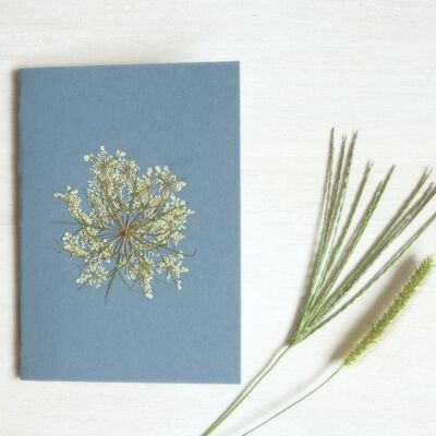 Libreta A6 herbario • Zanahoria (flor)