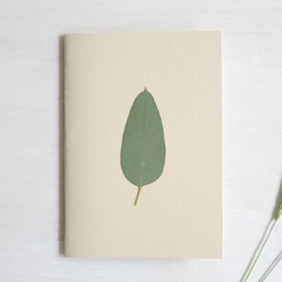 A6 herbarium notebook • Eucalyptus (leaf)