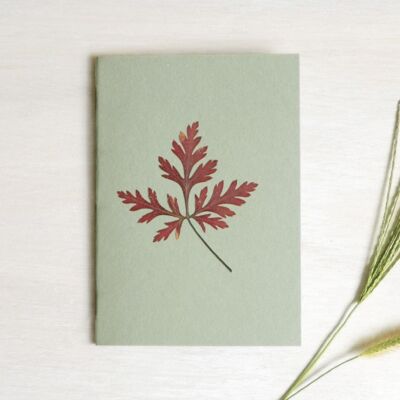 A6 herbarium notebook • Geranium (leaf)