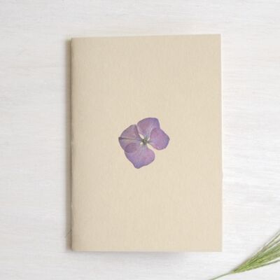 Herbarium notebook A6 • Hydrangea (flower)
