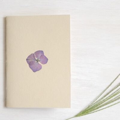 Herbarium notebook A6 • Hydrangea (flower)
