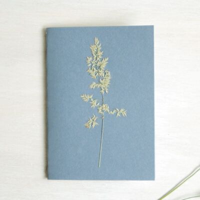 Herbarium-Notizbuch A6 • Calamagrostis-Gras (Blume)