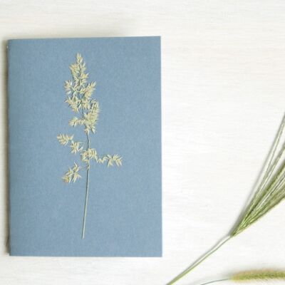 Herbarium notebook A6 • Calamagrostis grass (flower)