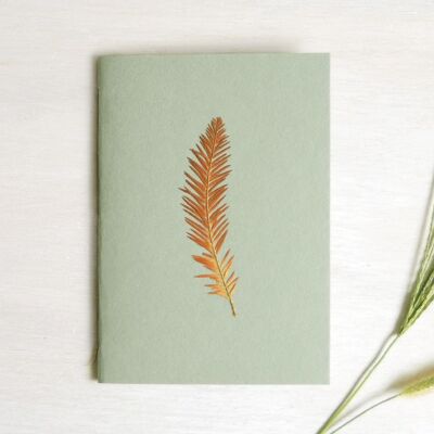 Herbarium notebook A6 • Bald cypress (leaf)