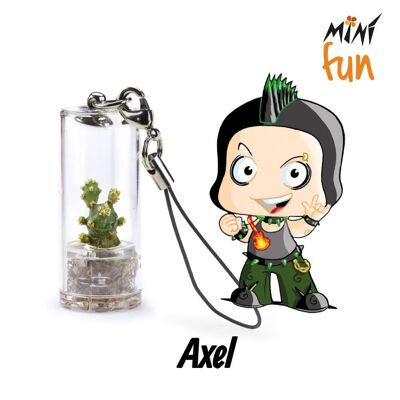 Minì Fun Axel - Mini-Pflanze für Entschlossene