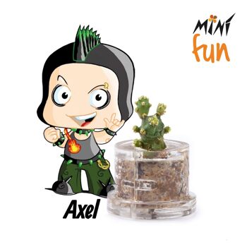 Minì Fun Axel - Mini plante pour les déterminés 4
