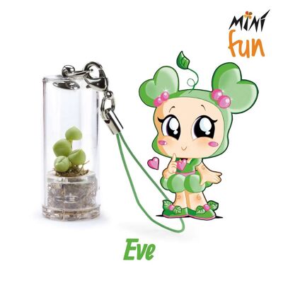 Minì Fun Eve - Mini-Pflanze für die Zarten und Feinen