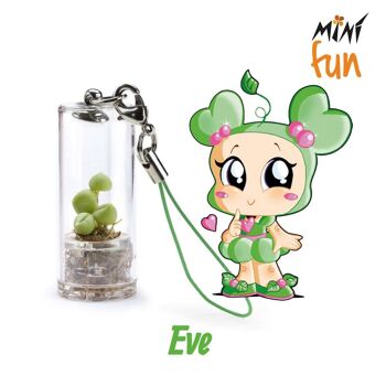 Minì Fun Eve - Mini plante pour les tendres et les délicats 1