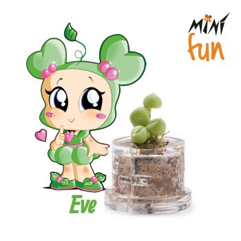 Minì Fun Eve - Mini plante pour les tendres et les délicats 3