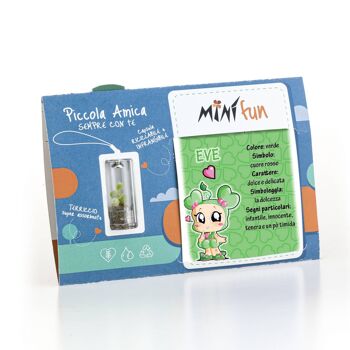 Minì Fun Eve - Mini plante pour les tendres et les délicats 6