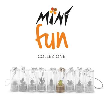 Minì Fun Floe - Mini plante pour les raffinés et élégants 4