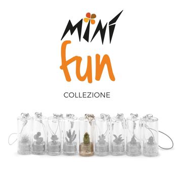 Minì Fun Joy - Mini plante pour les joyeux et vifs 3