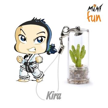 Minì Fun Kira - Mini plante pour les courageux et les tenaces 1
