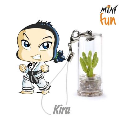 Minì Fun Kira - Mini-Pflanze für Mutige und Hartnäckige