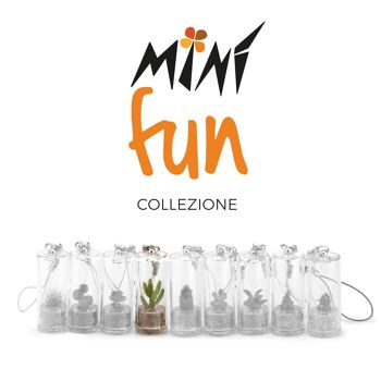 Minì Fun Kira - Mini plante pour les courageux et les tenaces 3