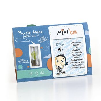 Minì Fun Kira - Mini plante pour les courageux et les tenaces 6