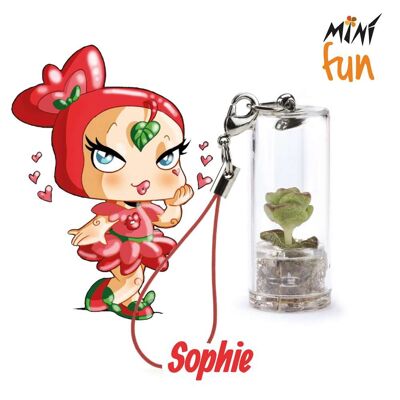 Minì Fun Sophie - Mini-Pflanze für die Skurrilen und Sinnlichen