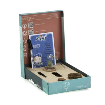 Mini Box Fun - Angie - Mini plante pour les romantiques et les personnes sensibles 3