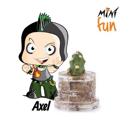 Minì Box Fun - Axel - Mini planta para los decididos