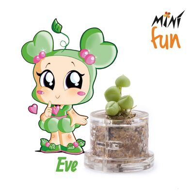 Mini Box Fun - Eve - - Mini-Pflanze für die Zarten und Feinen