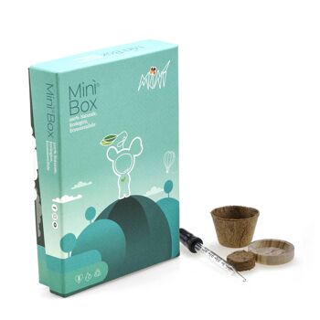 Mini Box Fun - Eve - - Mini plante pour les tendres et délicats 4